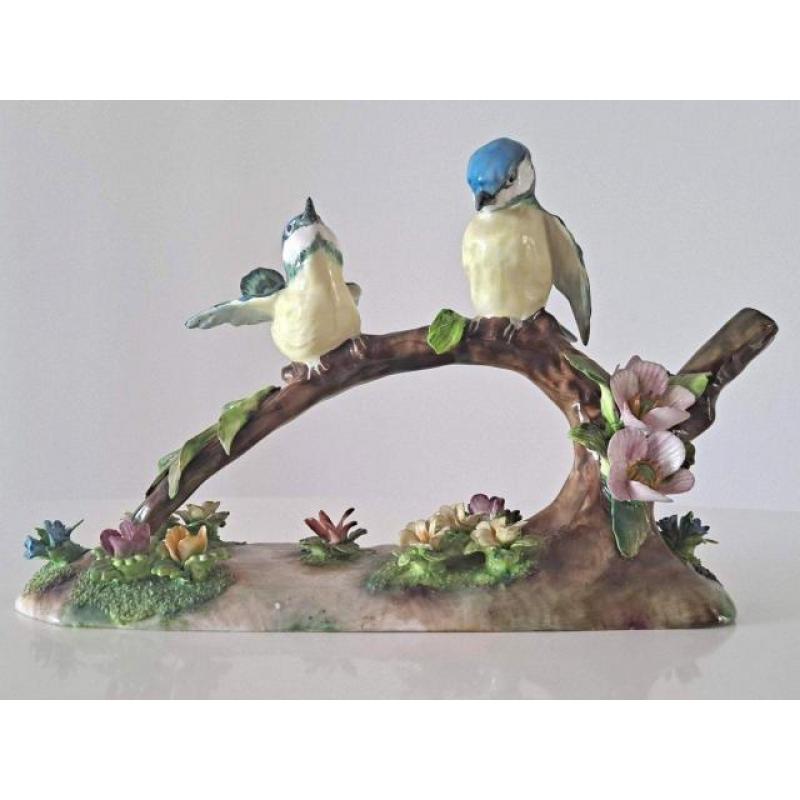 Couple De Mésanges Sur Branche Fleurie Porcelaine Anglaise